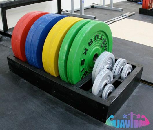 15kg Olympic Weight Plates 