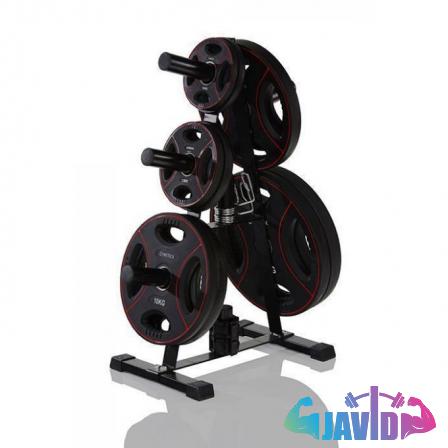 Types of Weight Plates Rack for Fitness Clubs