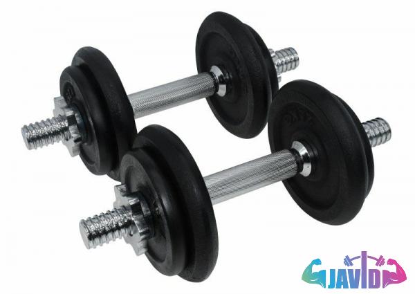 Buying Adjustable Dumbbells at Cheapest Price 