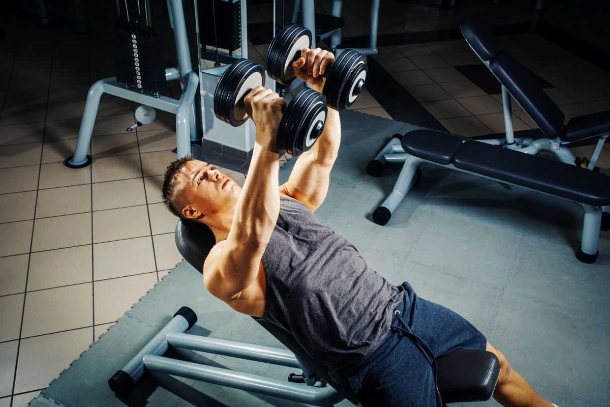  Buy Dumbbell Bench Press Workout + Best Price 