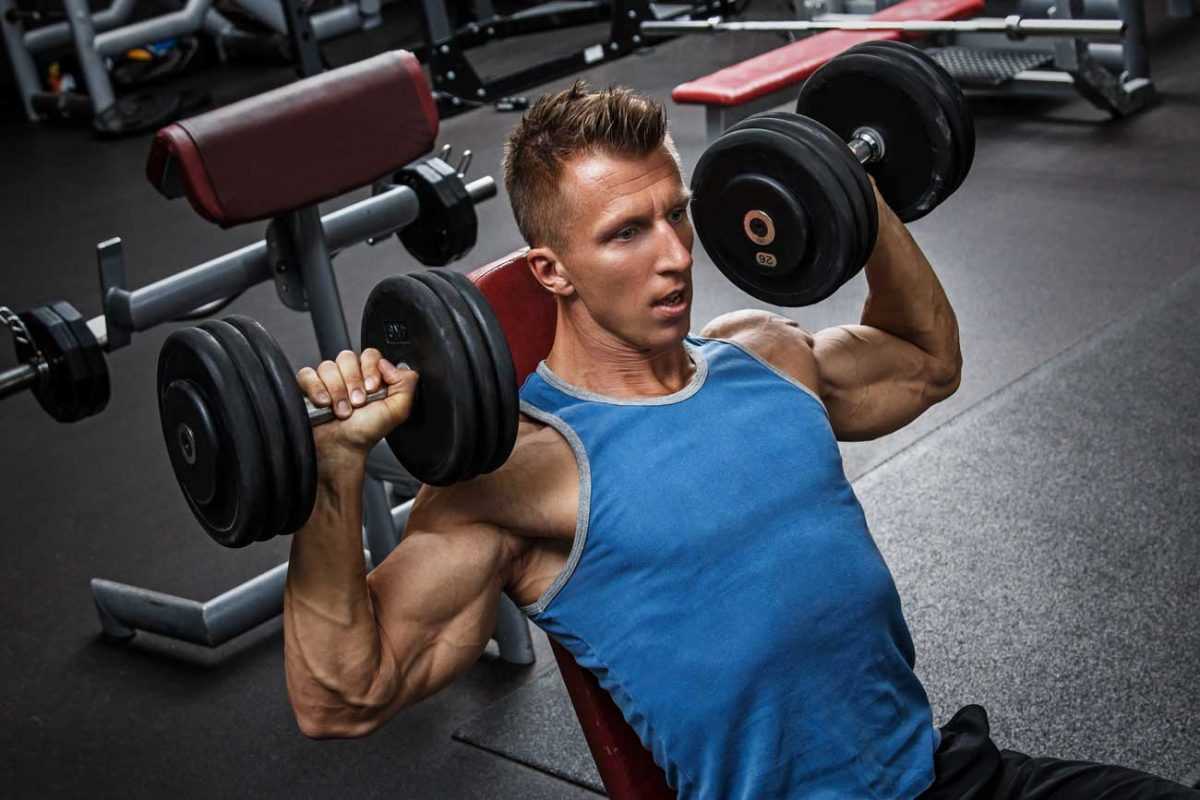  Buy Dumbbell Bench Press Workout + Best Price 