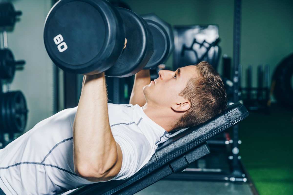  Buy Dumbbell Bench Press Workout + Best Price 