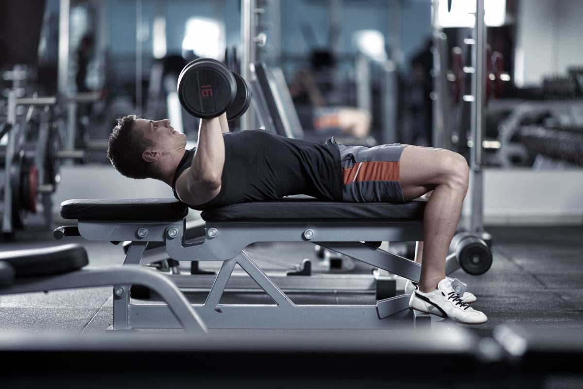  Buy Dumbbell Bench Press Workout + Best Price 