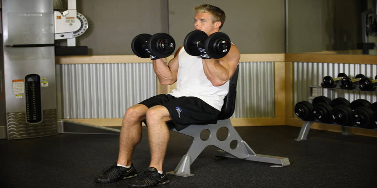  dumbbell lunges pushups price + wholesale and cheap packing specifications 