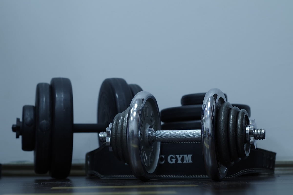  Dumbbells for muscle gain 2023 Price List 