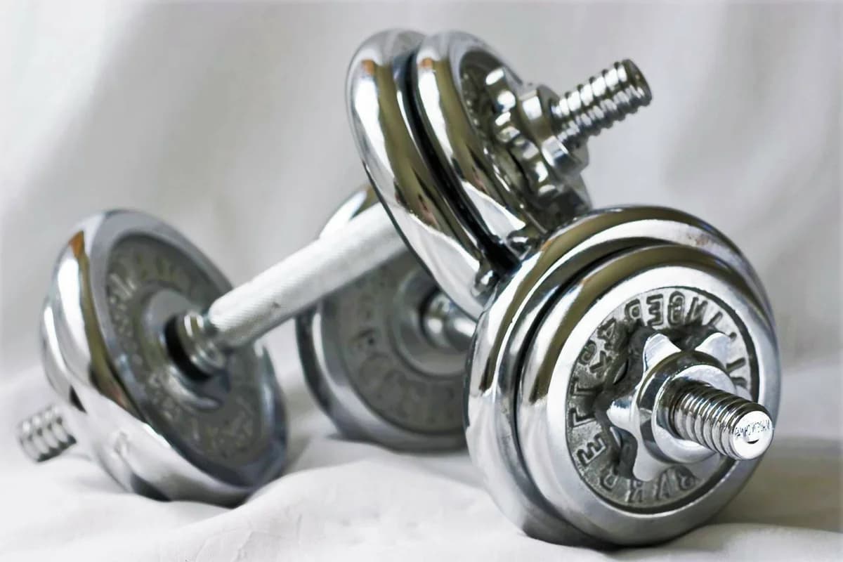  Dumbbells for muscle gain 2023 Price List 