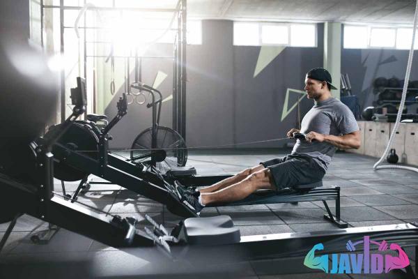 Top rowing machines purchase price + preparation method