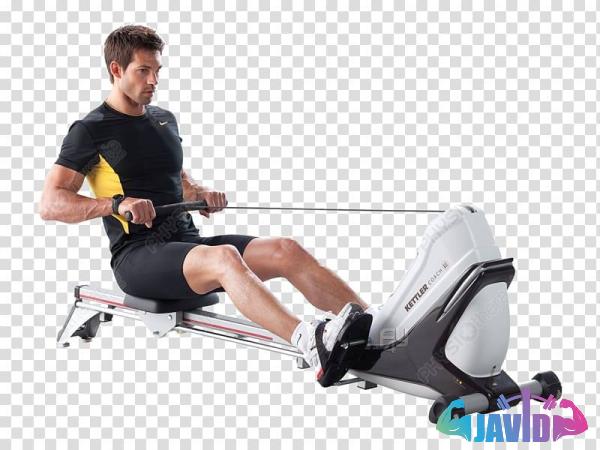 Purchase and price of rowing machines with oars types