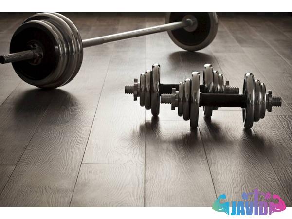 Buy exmark barbells | Selling all types of exmark barbells at a reasonable price