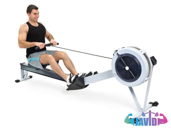 Buy and price of short leg press machines