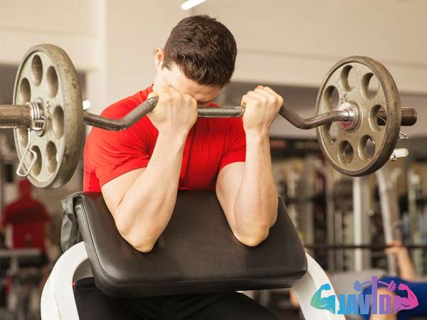 The purchase price of barbell curl + advantages and disadvantages