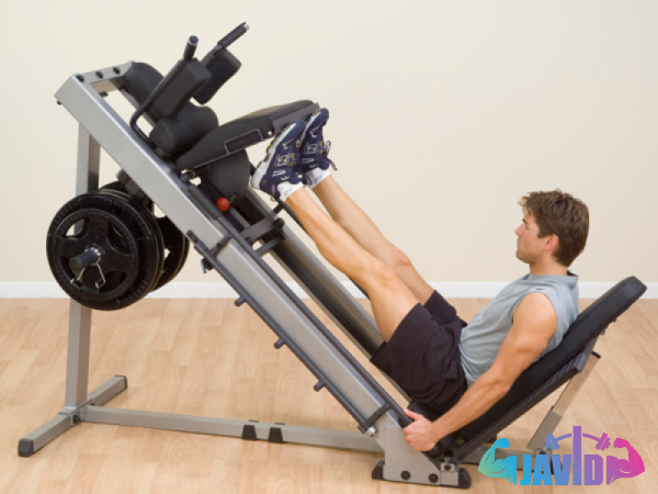 Buy quad leg press machine at an exceptional price