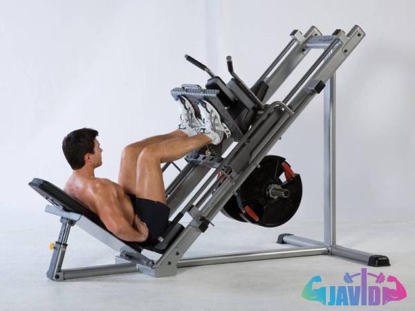 Buy quantum leg press machine + best price