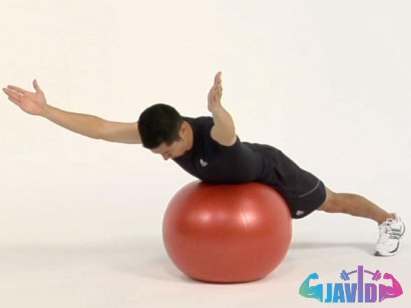 Buy best stability balls types + price